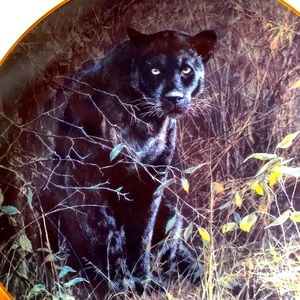 Porcelain Black Panther Number Plate